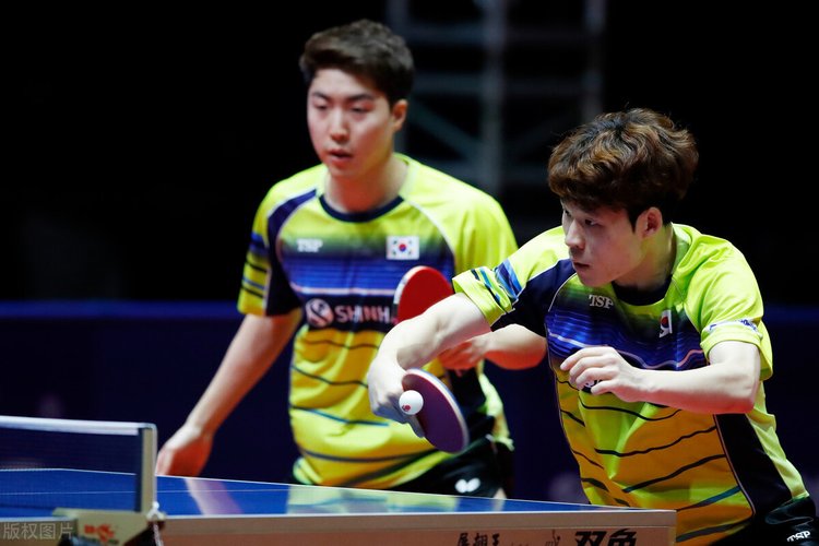 比赛的专业 比赛的专业