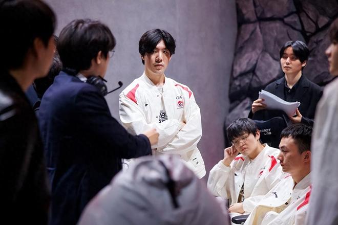 这一决定具 这一决定具