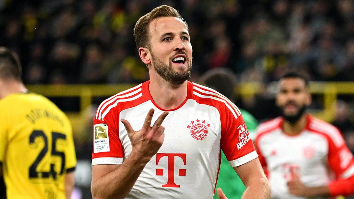 带虫害环境 带虫害环境